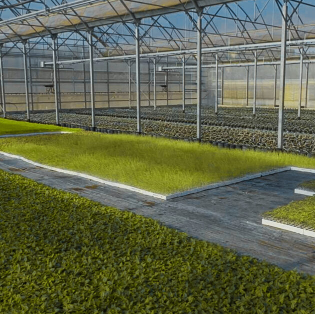 Prenotazione 24x Passata Blend Bio e Sostenibile 2025 - immagine 3